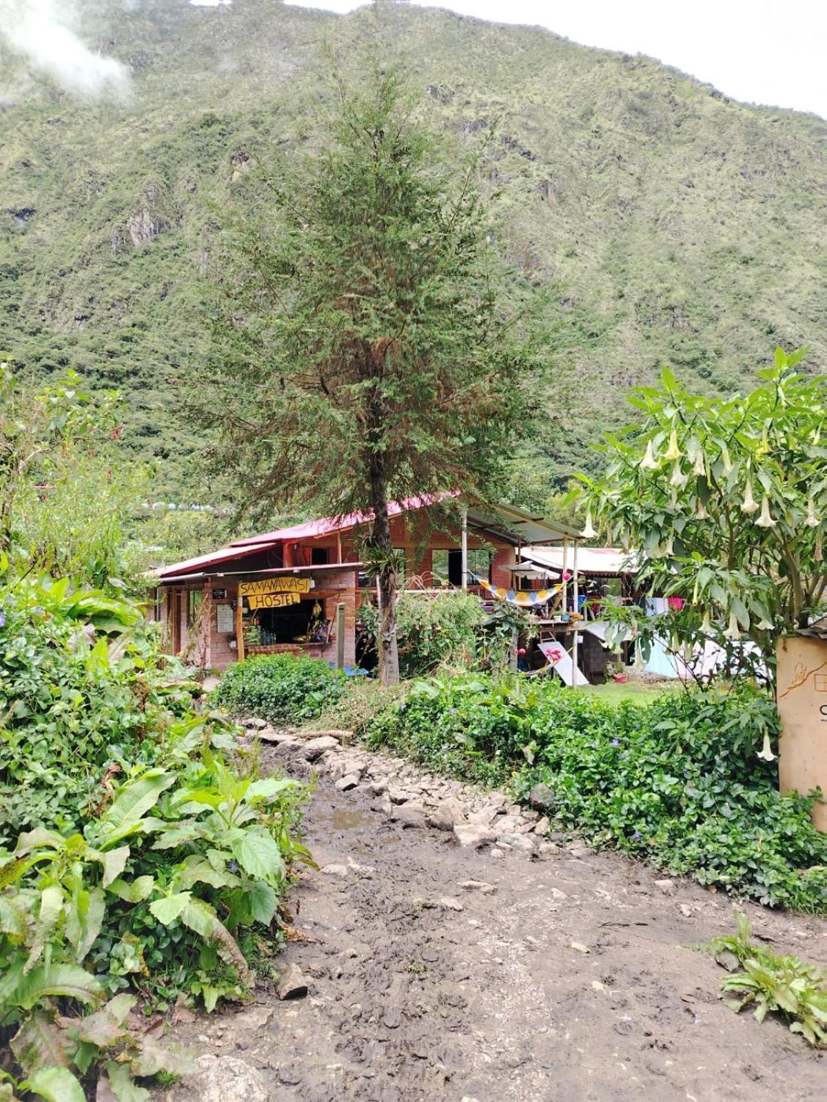 Hostel Samana Wasi Chaullay 库斯科 外观 照片