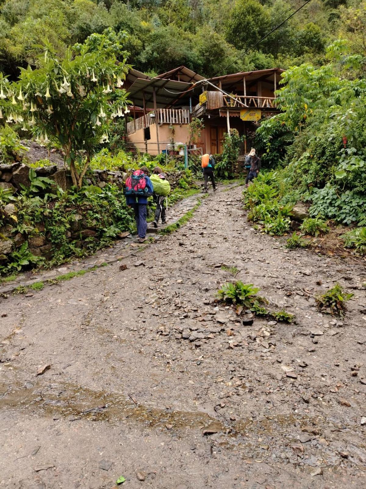 Hostel Samana Wasi Chaullay 库斯科 外观 照片