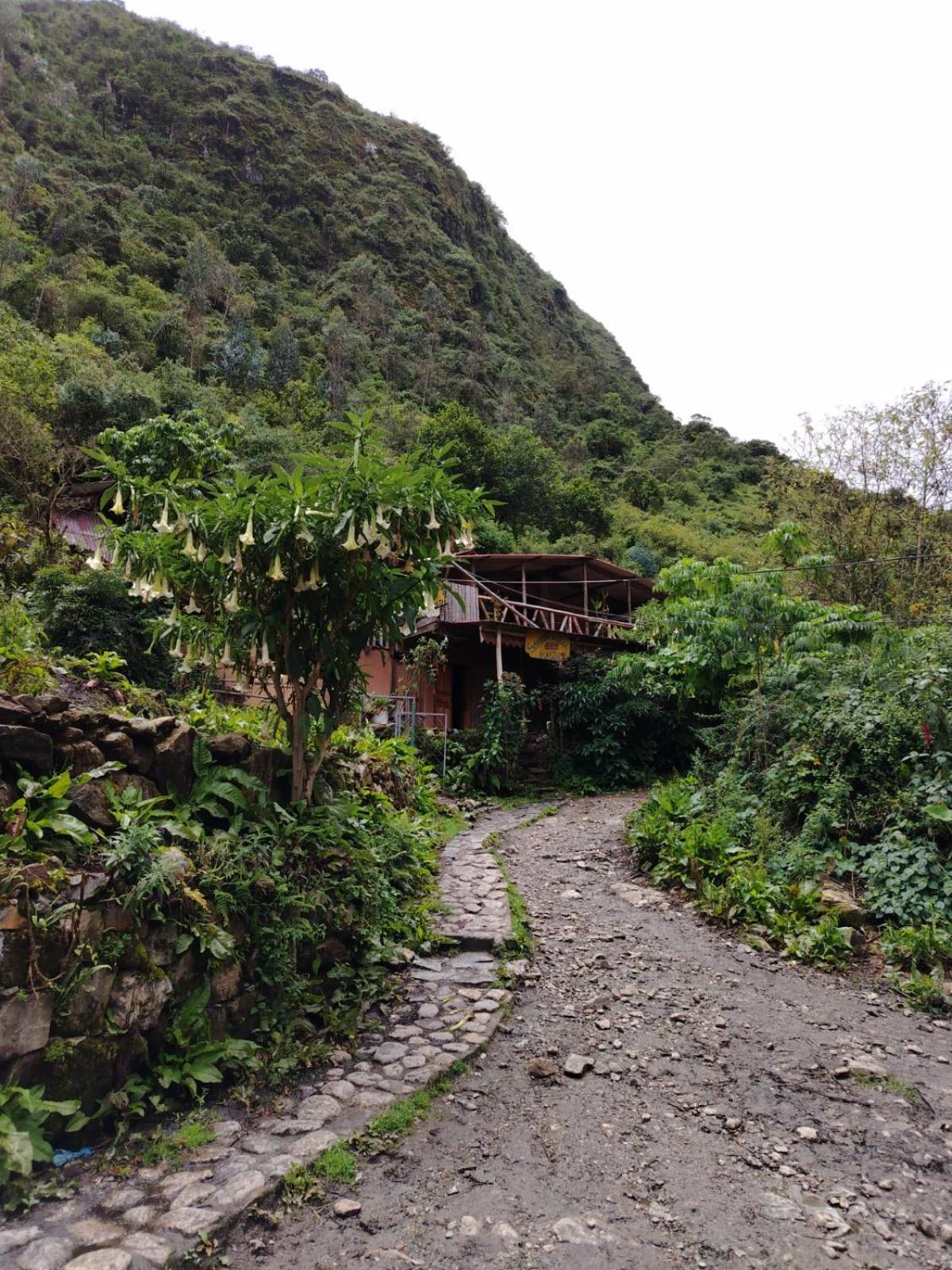 Hostel Samana Wasi Chaullay 库斯科 外观 照片